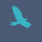 Rogerio Moreira's profile picture