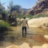 Sajad S