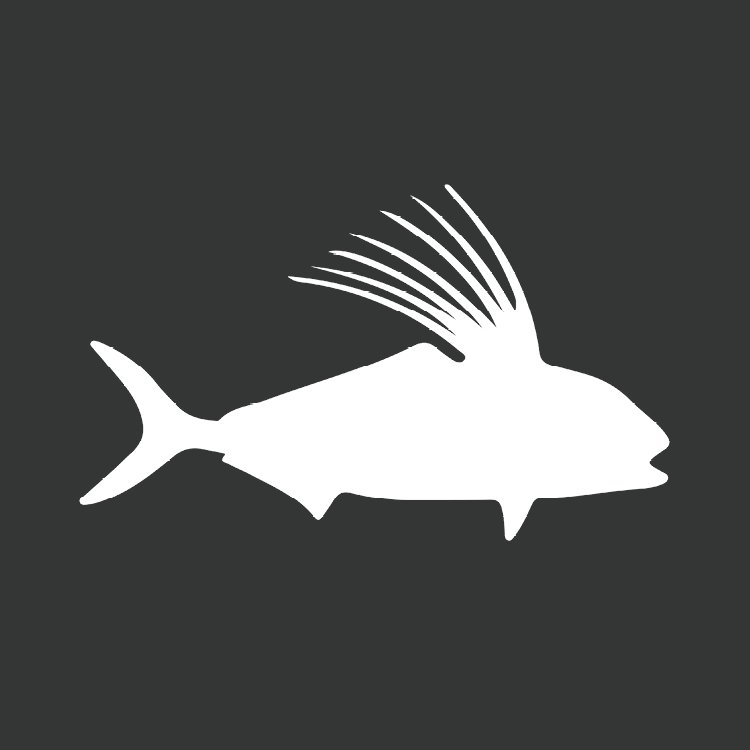 Roosterfish Creative's profile picture