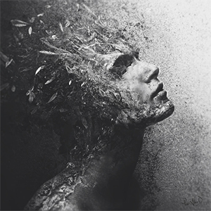 AhenkDesign's profile picture
