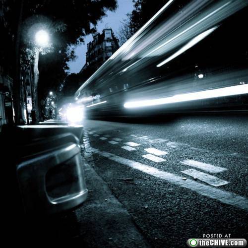 InuRocks's profile picture