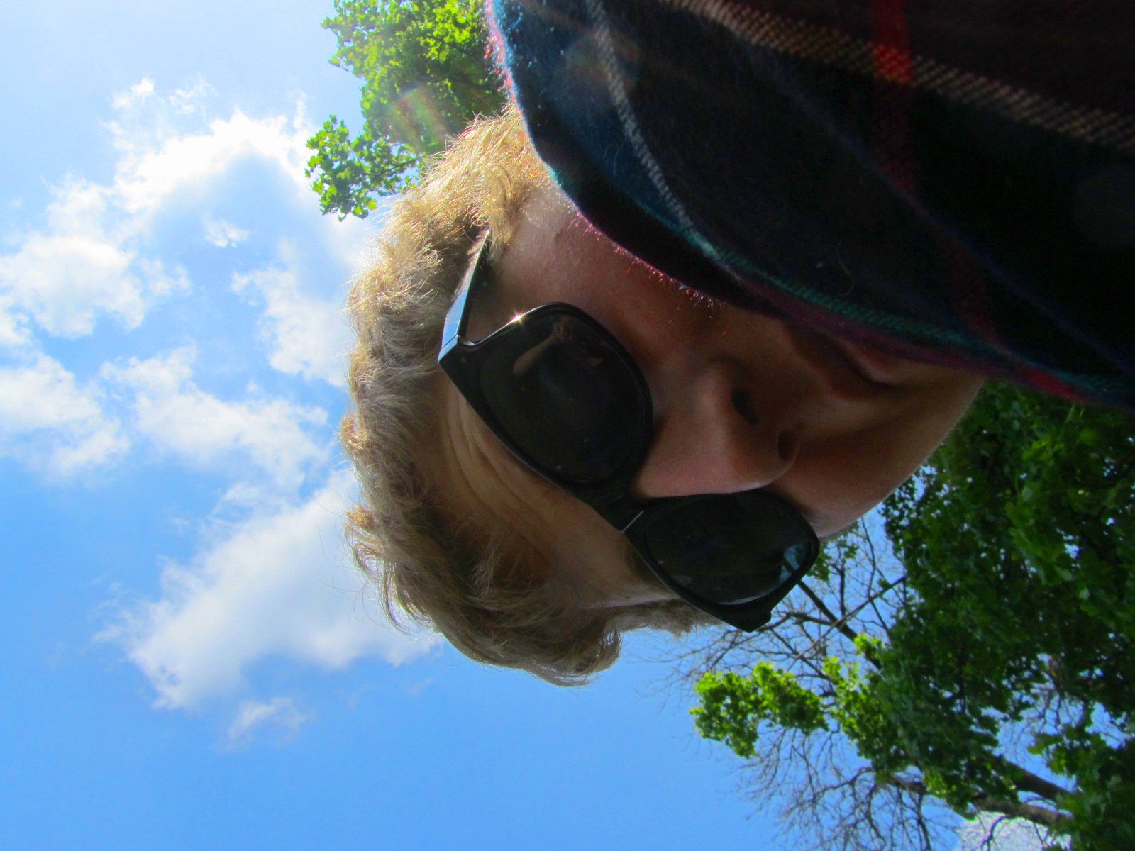 Owen Herterich's profile picture