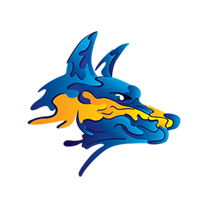 Isax's profile picture