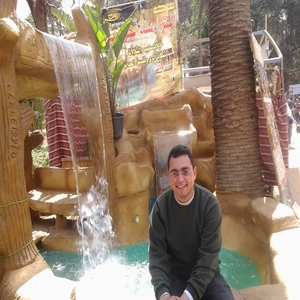mohmed rashed's profile picture