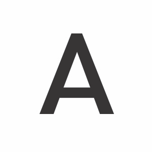 Aik T's profile picture