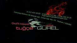 Graphic Design / Illustrator / Colorist's profile picture