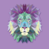 Fanatic Designs
