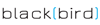 Blackbird Design