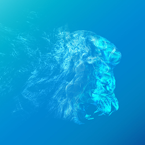 VisualDesign's profile picture