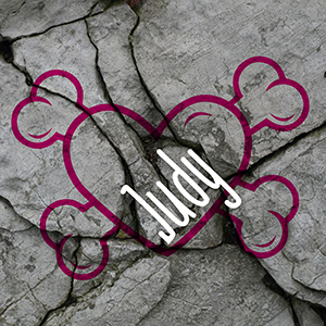 judith.vasselai's profile picture