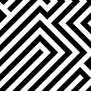 DashaZh's profile picture