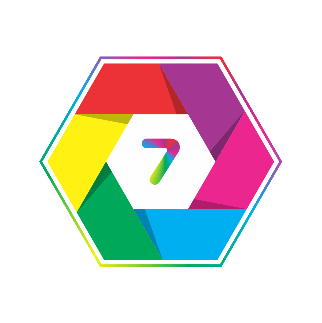 seven element's profile picture