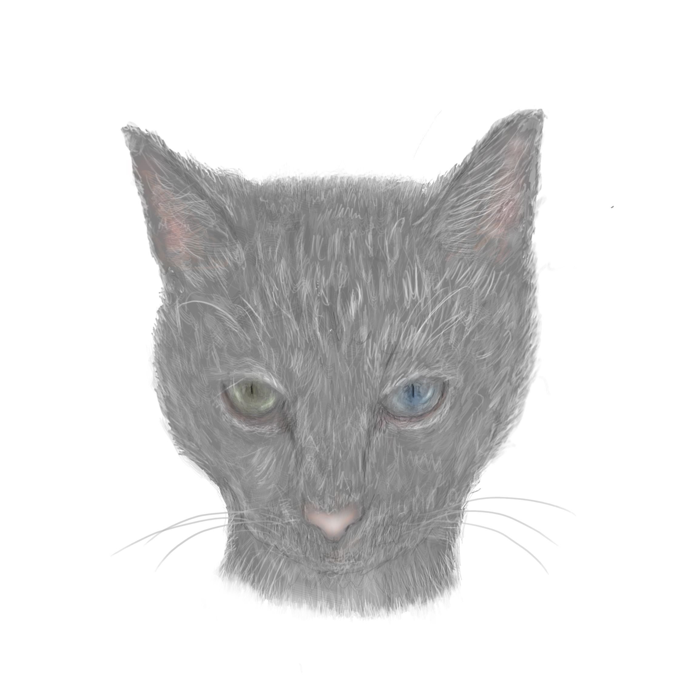 cuka's profile picture
