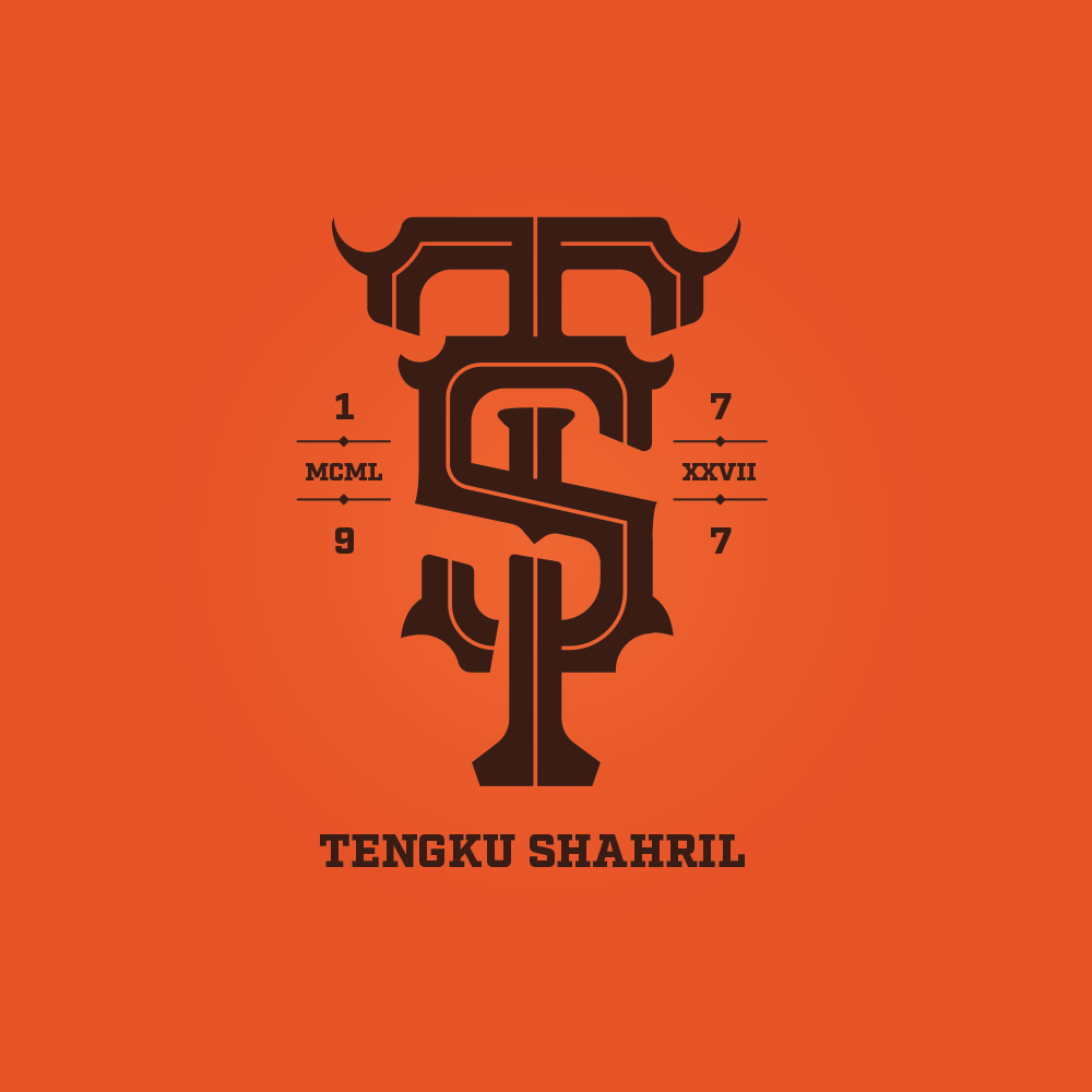 Tengku Shahril Norzaimi's profile picture