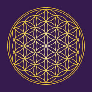 Up Designs's profile picture