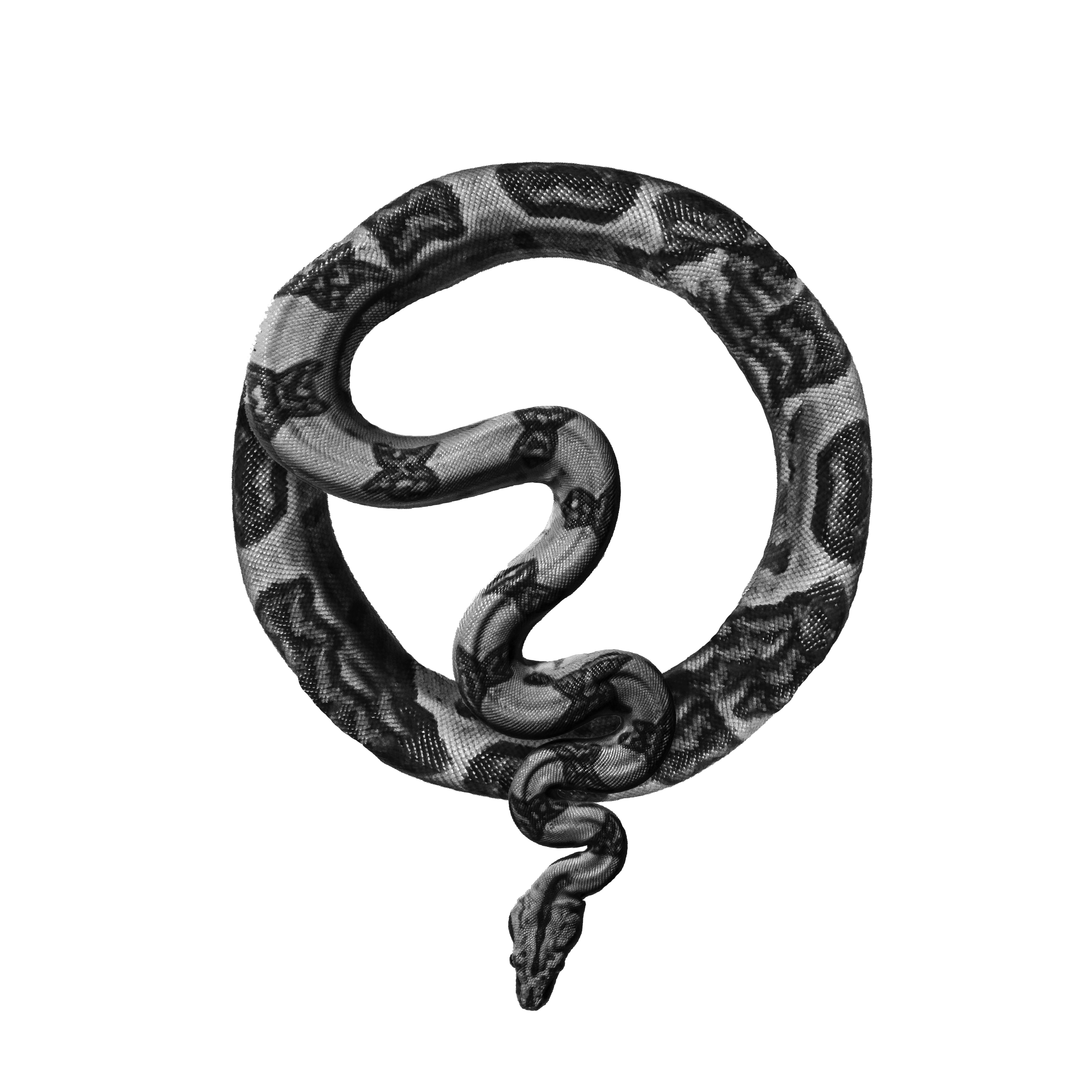 Haysp's profile picture
