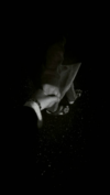 memoricks