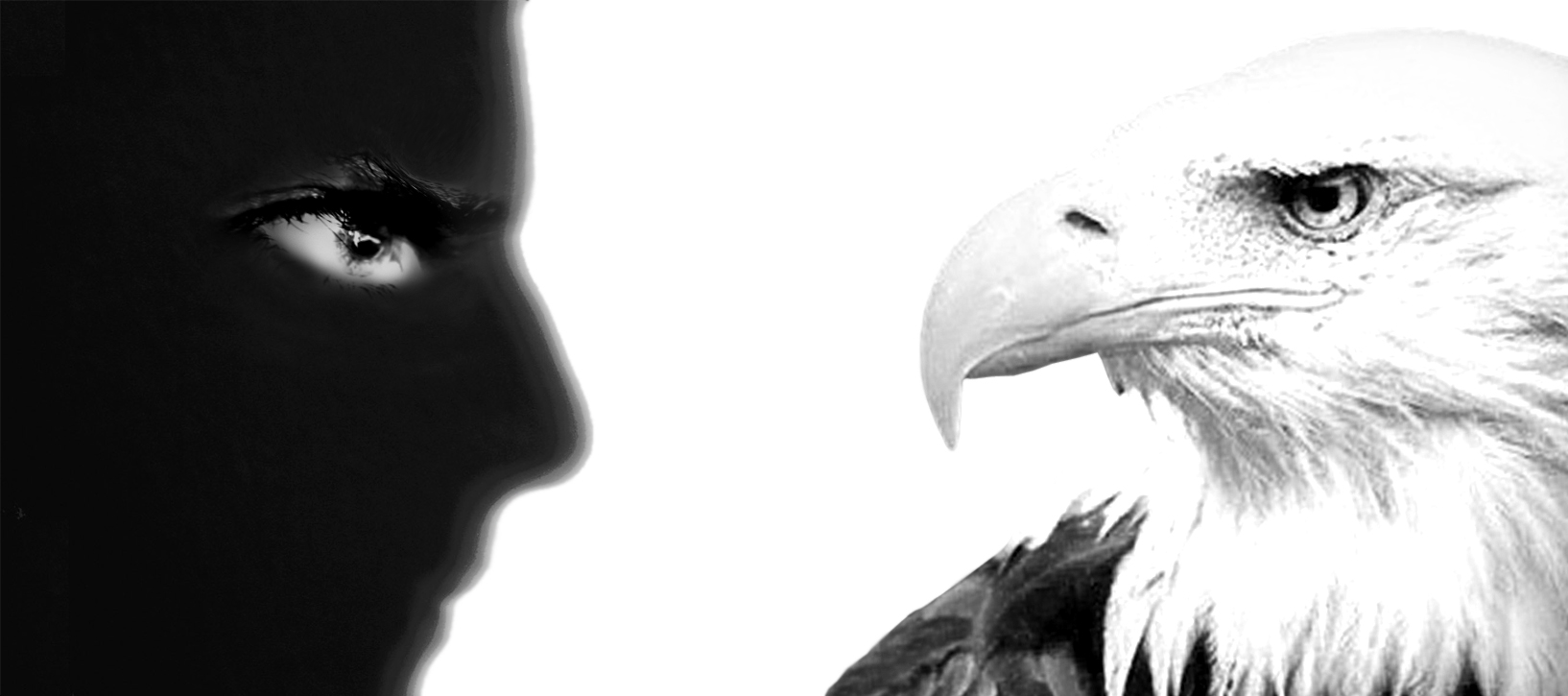 eagle eye's profile picture