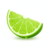 Lime Slice