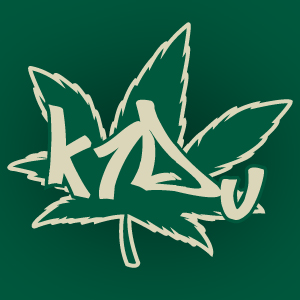 k1du design's profile picture