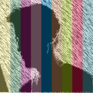 Shvp's profile picture