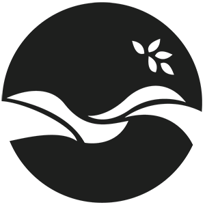 DoodleDeck's profile picture