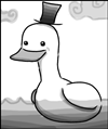 Top Hat Duck