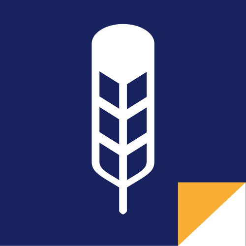 DocumentOwls's profile picture