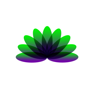 leafify's profile picture