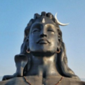 vijaydz's profile picture