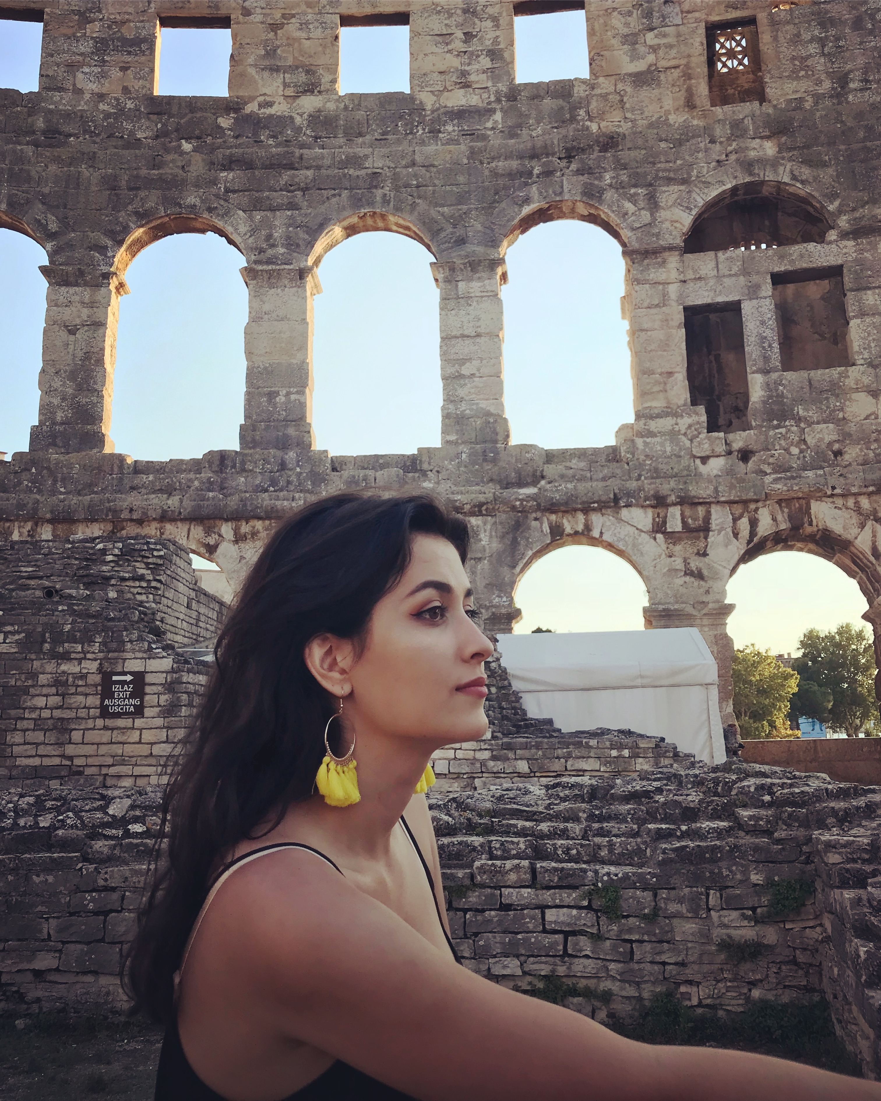 N.Siljegovic's profile picture