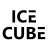 IceCube11