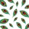 peafowl.design