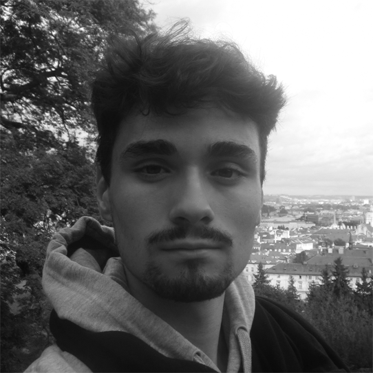 miguelms's profile picture