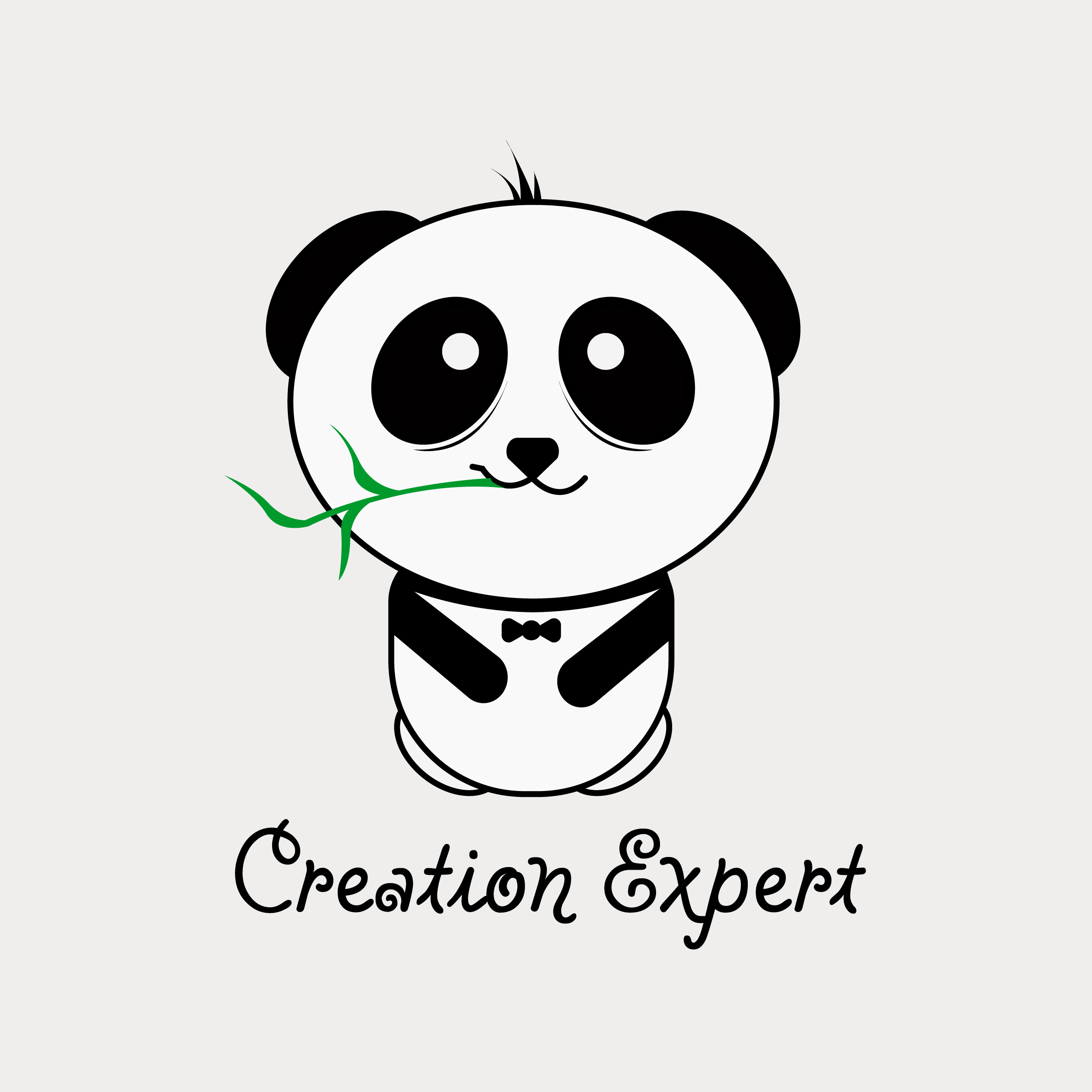 CreationExpert's profile picture
