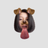 Tran 6