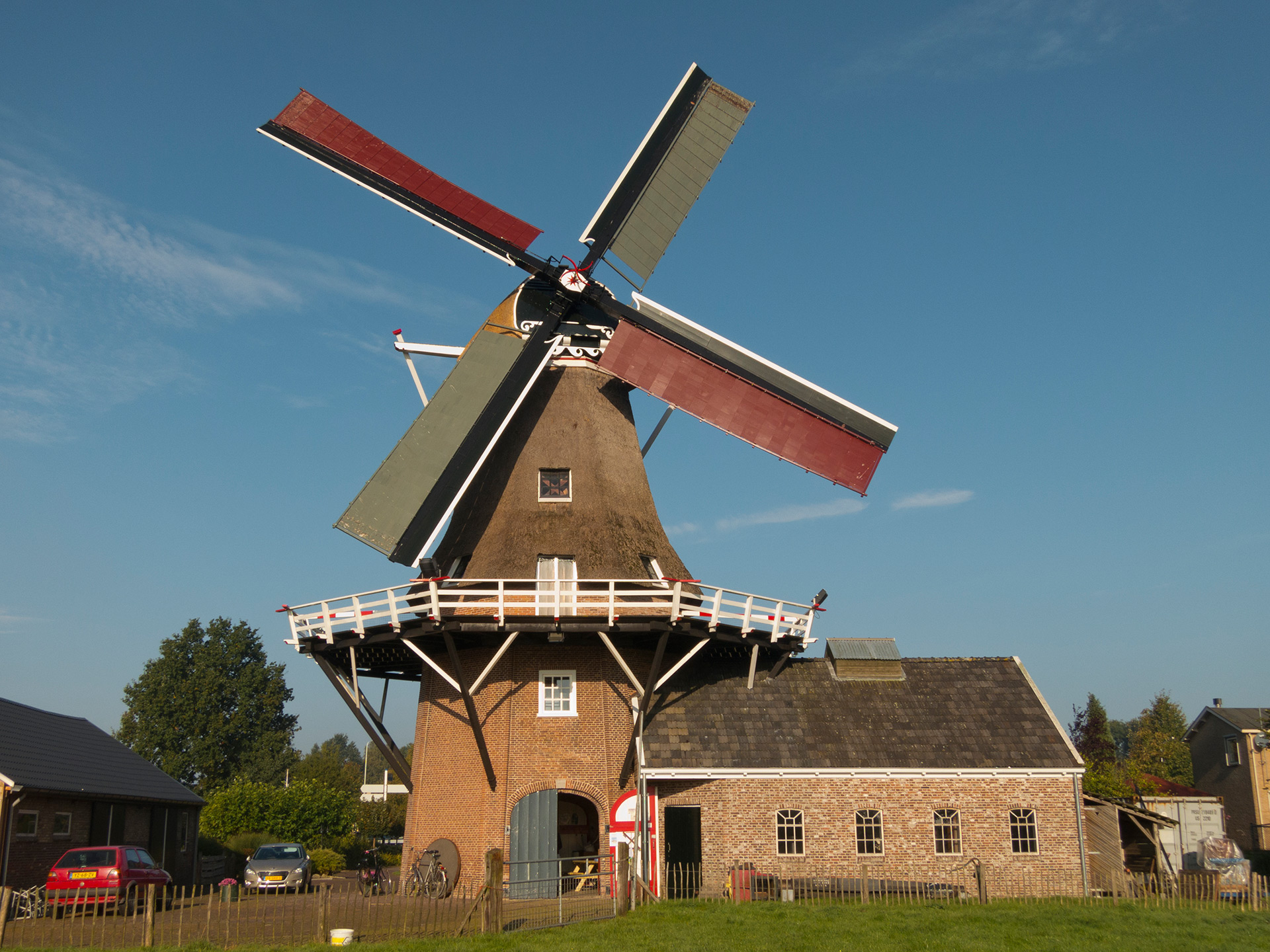 rayholland's profile picture