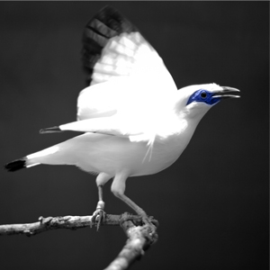 Jovine Bestari's profile picture