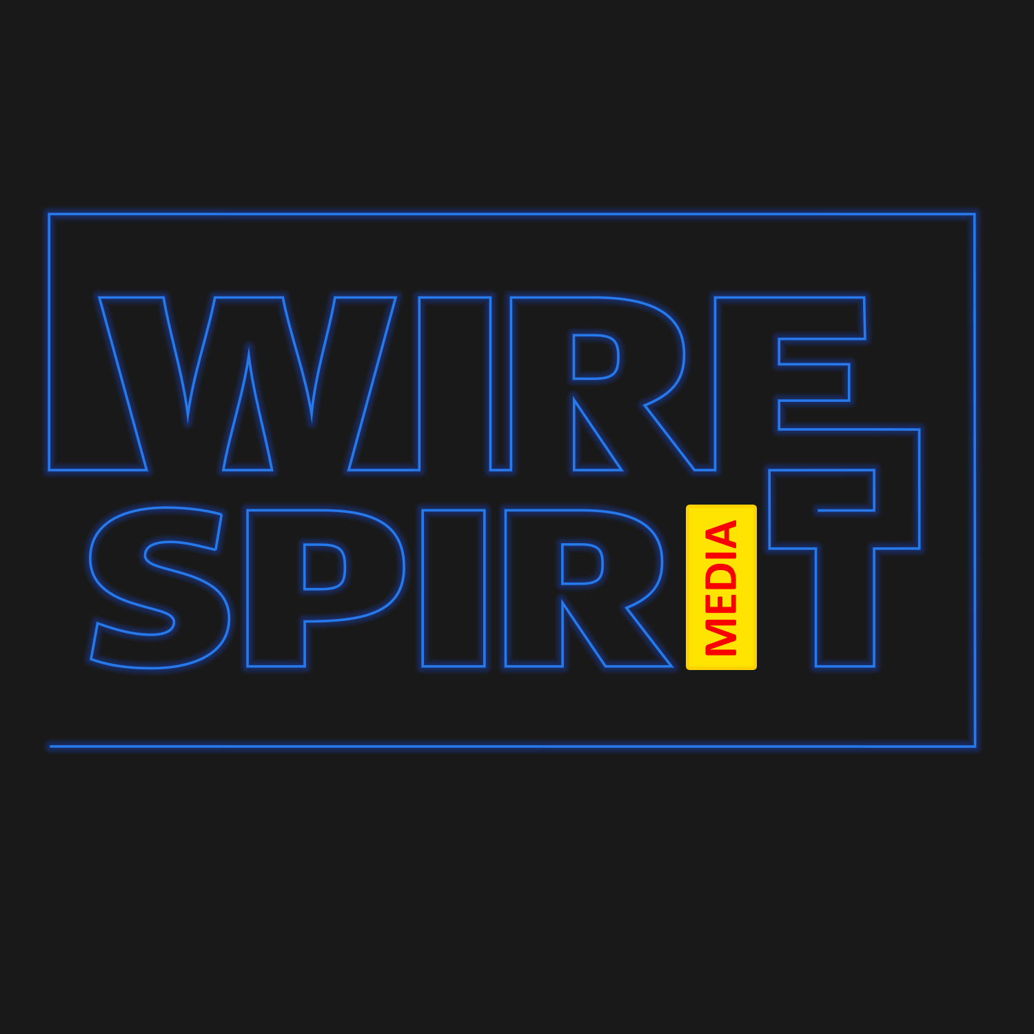 WireSpirit's profile picture