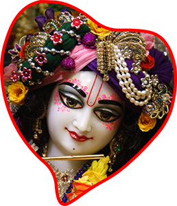 NeelMadhav's profile picture