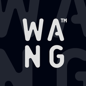 Wang™'s profile picture
