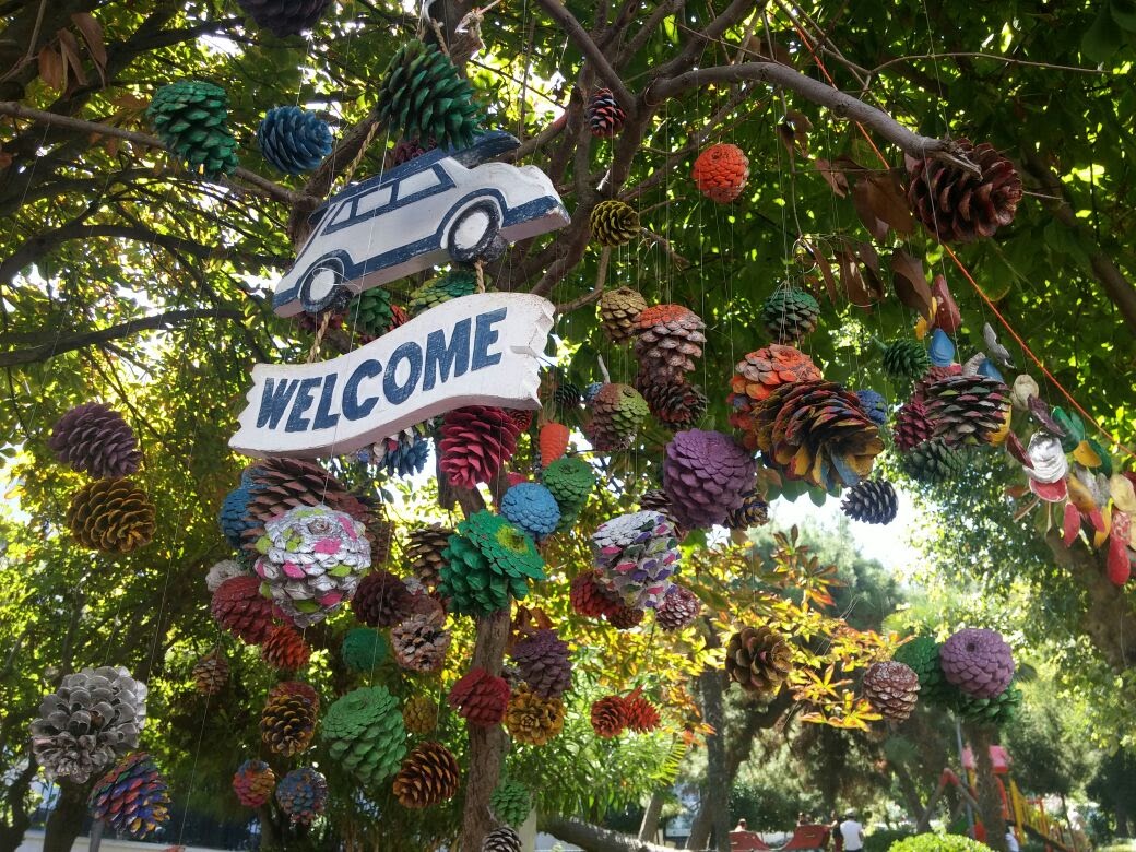 Nur Banu's profile picture