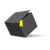 cacomiztle