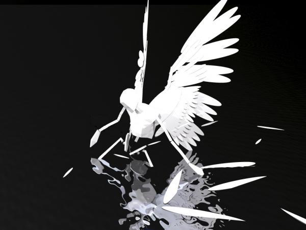 Cool Rays's profile picture