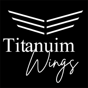 titanium wings's profile picture