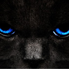 mby's profile picture