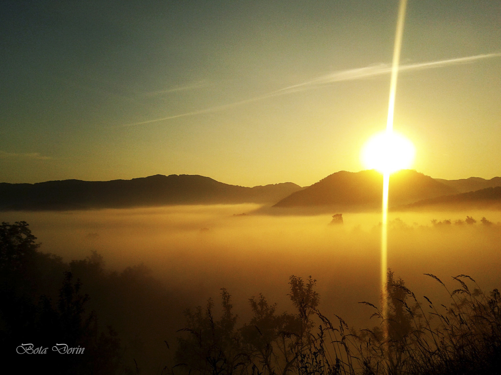 Designer 79704's profile picture