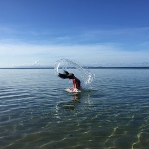 anaella98's profile picture