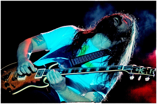 alc's profile picture