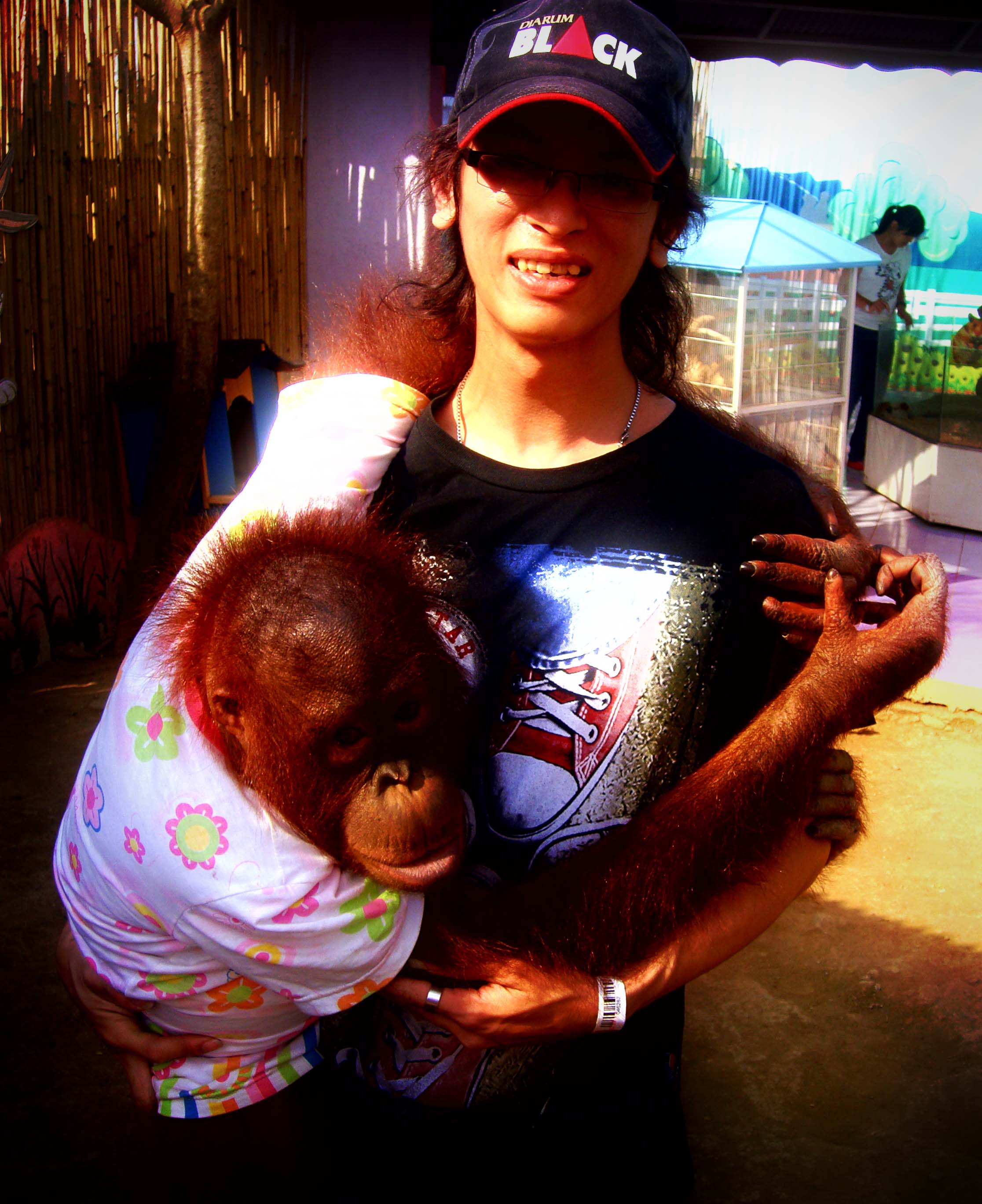 hendra's profile picture